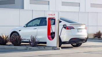 Tesla Bakal Menaikkan Harga Model Y untuk Pasar AS dan Eropa