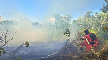 Tim Gabungan Masih Berjibaku Padamkan Karhutla di 5 Daerah Riau