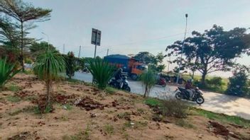 Anggaran Pemeliharaan Taman Median Jalan di Karawang Capai Rp781 Juta