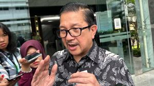 Freeport Hentikan Produksi Grasberg, Fokus Cari 5 Karyawan Terjebak Longsor