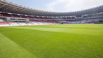 Timnas Indonesia Siap Jamu Jepang dan Arab Saudi di SUGBK, Rumput Stadion Dipastikan Prima