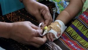 Meningkat Signifikan, Dinkes Sikka NTT Catat Demam Berdarah Mencapai 50 Kasus, 1 Orang Meninggal Dunia