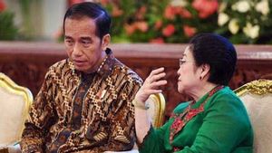 Megawati Minta Presiden Jokowi Kurangi Impor Alat Kesehatan
