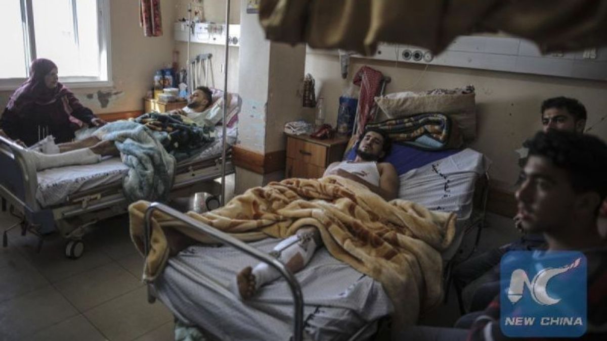 加沙地带Al Shifa医院的尸体被以色列士兵偷走