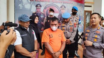 Kang Jegoh Arrested By Police For Desperately Planting Cannabis At The Reception Building Of Ciherang Village, Bandung