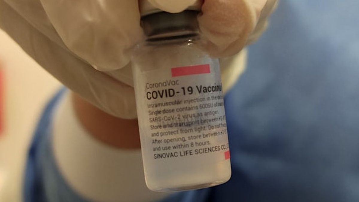 在勿加泗，数以万计的Sinovac疫苗剂量只是计算到期日数
