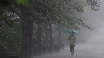 1月17日の天気、注意してください！水曜日の午後、南ジャカルタと西ジャカルタで雷雨