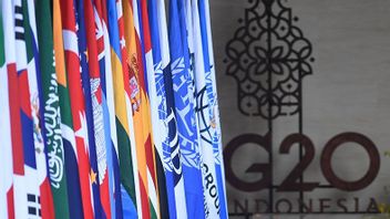 观察家请 政府在G20结束后立即鼓励Endemi