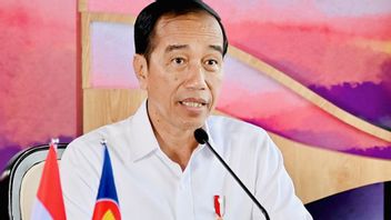 Balas Anies soal IKN, Mantan Mendag M Lutfi: Pak Jokowi Ahli Selesaikan Masalah Masa Depan
