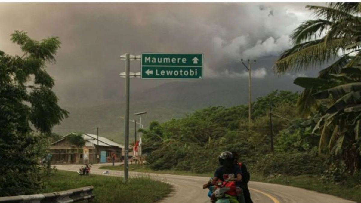 6 Orang Meninggal Akibat Erupsi Gunung Lewotobi Laki-laki di Flores NTT