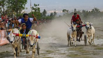 Understanding The Peak Of Culture In Indonesian Community Diversity