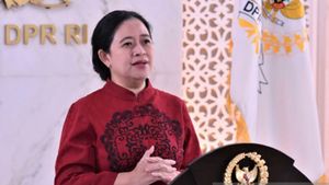 Highlighting The Case Of Children Burning Residents' Houses Because Of Film Inspired, Puan: Digital Content Supervision Must Be Strengthened