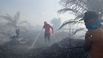 西芒加莱森林和陆地火灾红区,BMKG提醒居民提高警惕