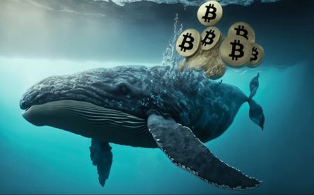 Whale Bitcoin Beraksi, Nyerok 47.000 BTC dalam Sehari 