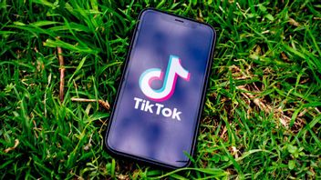 TikTok Users Can Now See Who Visited Their Profile, Here's How!