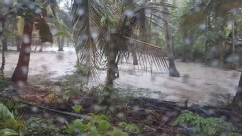 大雨、ロンボク島中部の2つの村が浸水