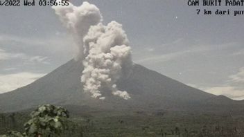 Mount Semeru Launches Hot Clouds To The Southeast For 4 Km