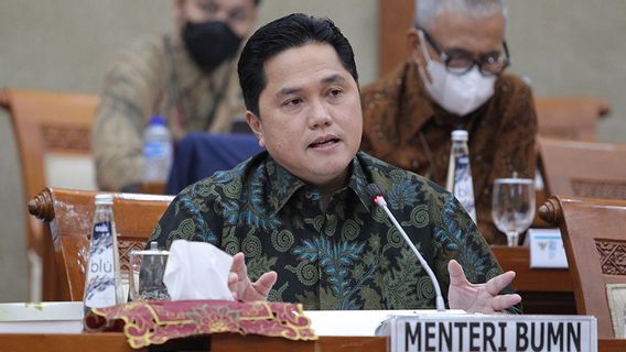 Erick Thohir: Indonesia's Cattle Needs Are Worrying, 96 Percent Of Imports!