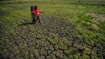 BNPB:ジャワからヌサトゥンガラまで干ばつ警報9月下旬~10月
