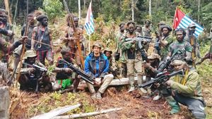 Pangkogabwilhan III Perintahkan KKB Papua Segera Bebaskan Pilot Susi Air