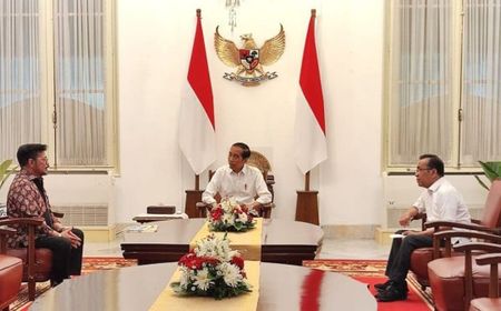 1 Jam Bertatap Muka dengan Jokowi di Istana, Apa yang Dibicarakan Eks Mentan SYL?