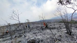 Pendakian Gunung Arjuno Ditutup Akibat Kebakaran Hutan