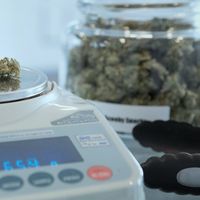 Pandemi COVID-19: Ganja Jadi Bisnis Menguntungkan di Amerika Serikat, Dilirik Investor Terkenal