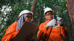 Tunjukkan Komitmen Lingkungan, Weda Bay Nickel Lakukan Rehabilitasi DAS Seluas 4,2 Ribu Hektare di Maluku Utara