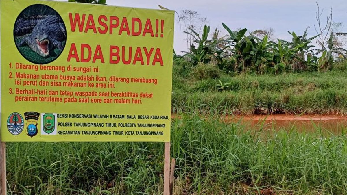 Pagi-Malam Muncul Bikin Warga Was-was, Polisi Pasang Plang Peringatan 'Waspada Buaya' di Sungai Tauca Kepri