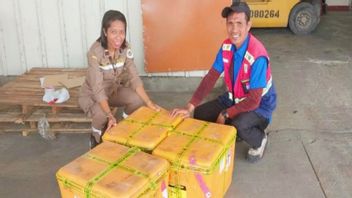Pas de documents, Quarantaine Timika refuse 6 boîtes de légumes de Purwakarta Regency