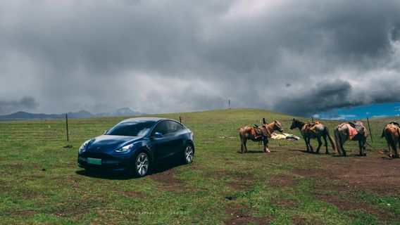 埃隆·马斯克（Elon Musk）希望减少员工数量，特斯拉在中国实际上开设了在线职位空缺