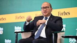 Bos Danantara Ungkap Potensi Investasi Bisa Capai Rp4.150 Triliun di 2030