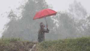 Pujian Ganjar Pranowo dengan Kecepatan Jokowi Tangani Tingginya Impor Bawang Putih