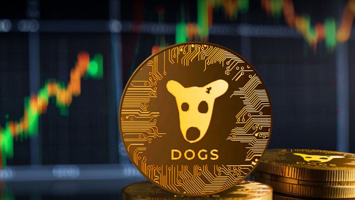 جاكرتا لقد تأخر بسبب DOGS ، والآن أصبحت Blockchain TON طبيعية مرة أخرى