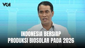 Pemerintah Akan Kurangi Ekspor CPO 5,3 Juta Ton, Mentan Amran: untuk Bahan Baku Biodiesel