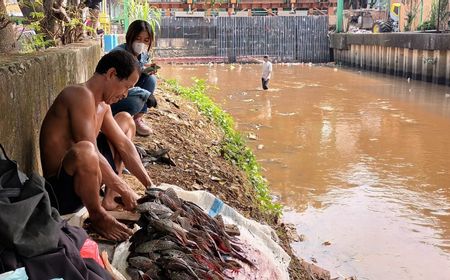 Ribuan Ikan Mati di Kali Baru Cililitan Jadi Berkah Penjual Ikan Sapu-sapu, Satu Kilogram Dijual Rp15 Ribu