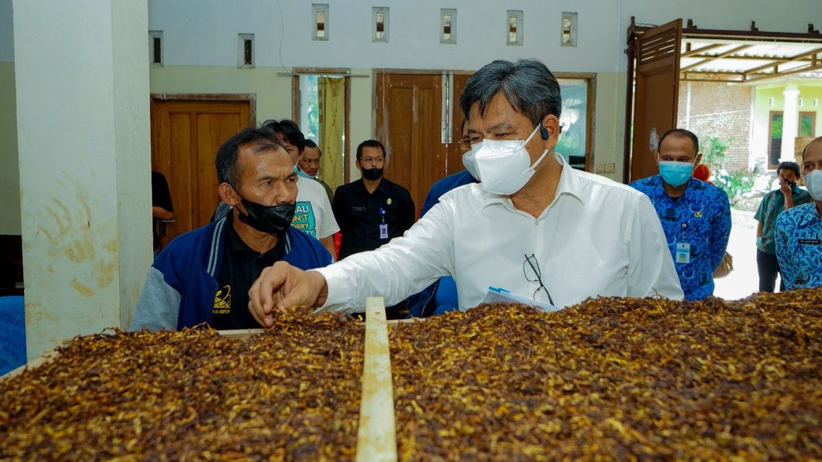以高价购买当地烟草， 政府欣赏哈托诺兄弟集团拥有的 Pt 贾鲁姆