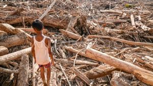 Aceh Kembali Perpanjang Status Tanggap Darurat Hingga 22 Januari