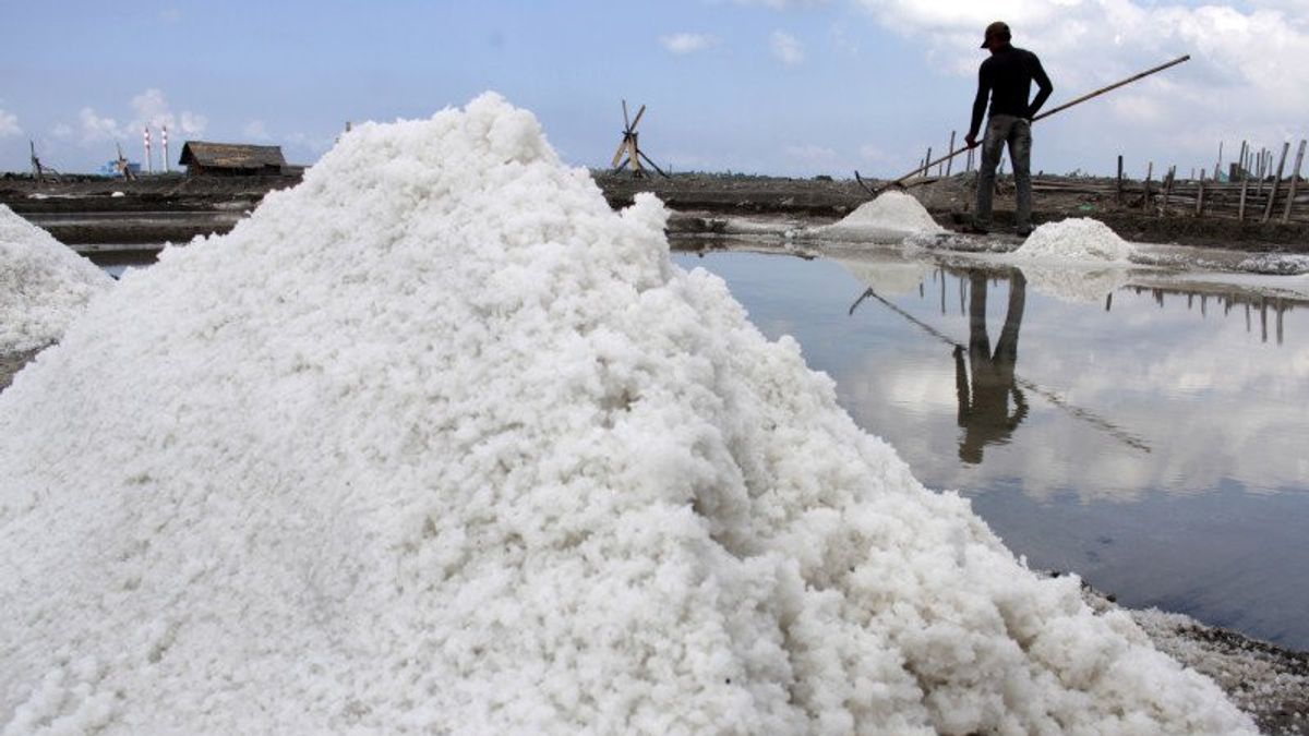 産業省は、手順に従って塩の輸入ニーズの決定を保証します