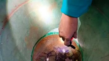 Cegah DBD, Dinkes Palembang Bagikan Larvasida ke Warga