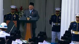 Retorika Antek Asing Presiden Prabowo Subianto Bisa Picu Kemarahan Publik