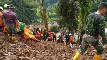 Do Not Make The Location Of The Cianjur Earthquake A Tourist Place