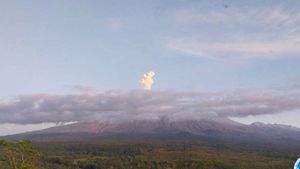 Senin Pagi Semeru Erupsi Lagi! Kolom Abu Menjulang 800 Meter