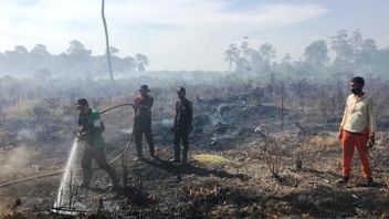 Luas Lahan Terbakar di Nagan Raya Bertambah Jadi 18,5 Hektare