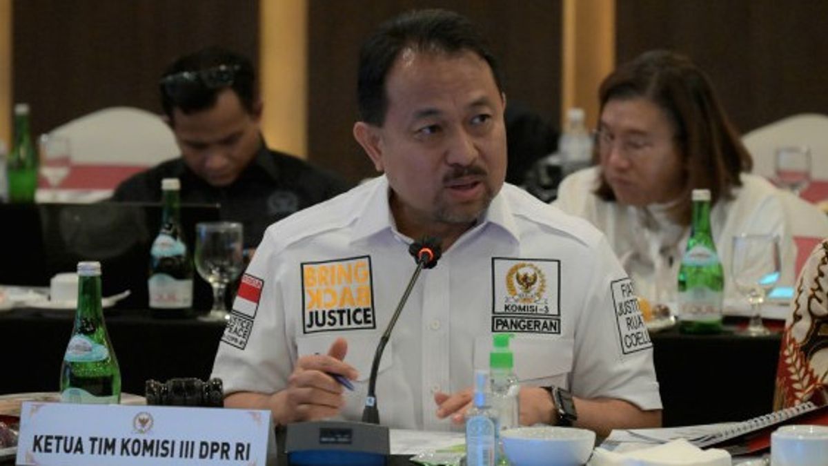 DPR Menyetujui 9 Calon Anggota Komnas HAM Periode 2022-2027, Atnike Nova Sigiro jadi Pimpinan