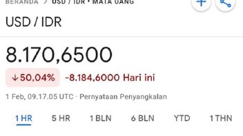 Not Only The US Dollar, The Euro Exchange Value Of The Rupiah Is Also A Error On Google