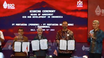 Find Potential CO2 To 1 Billion Ton, Pertamina And ExxonMobil Will Develop CCS In Indonesia