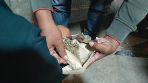 Kurir JNT Nyambi Jualan Ganja Lewat Instagram, Diringkus Polisi saat Mau COD