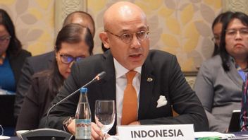 Wamenlu Tata Desak Hak Veto Tidak Digunakan Terhadap Keanggotaan Penuh Palestina di PBB