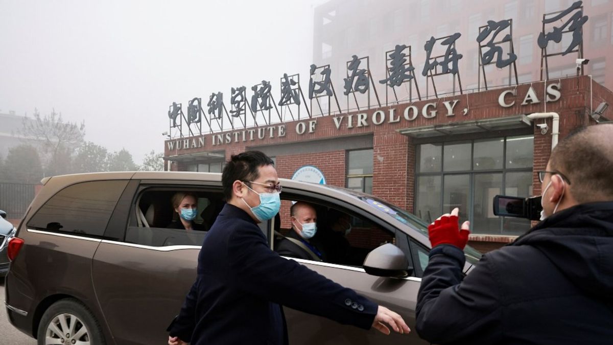 COVID-19 Est Originaire De Wuhan? Cela Dit Des Scientifiques De L'OMS